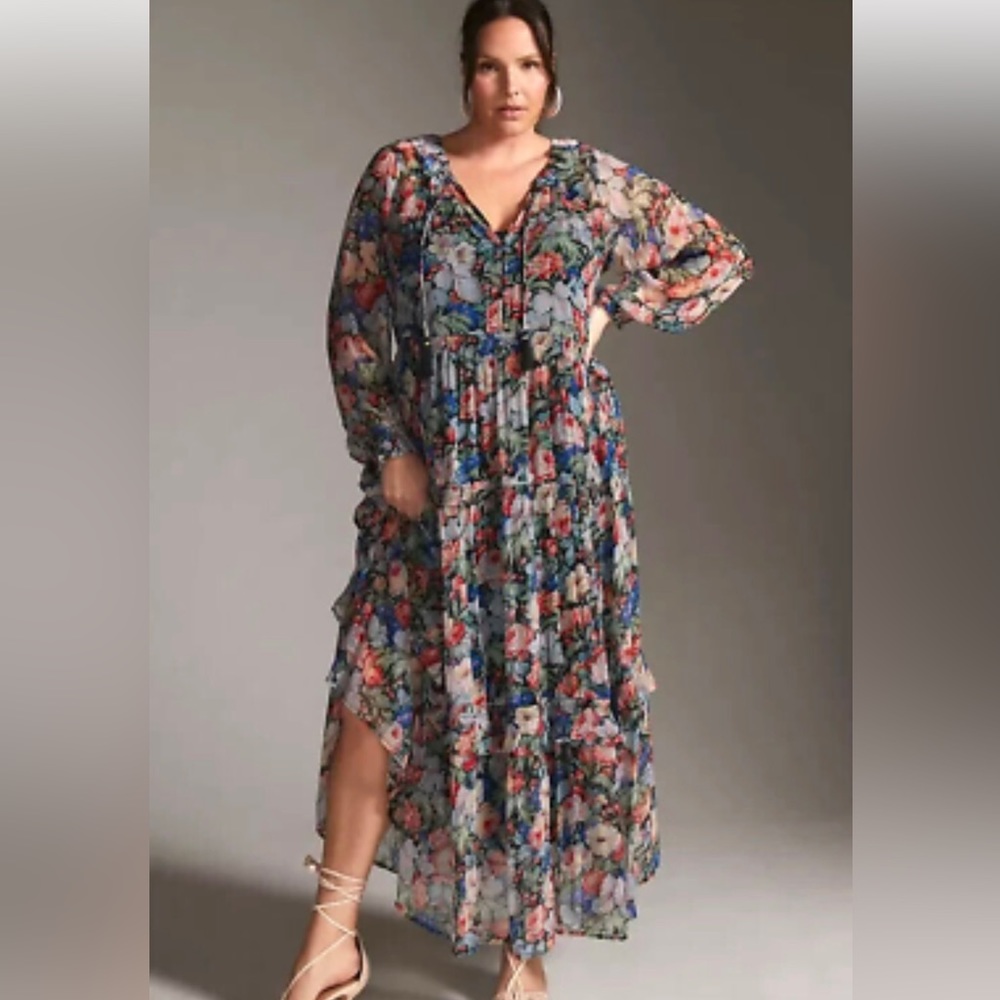 Anthropologie Dress 2X